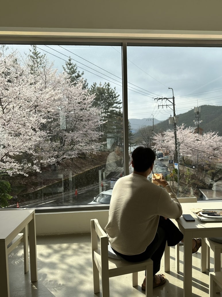 아이폰 벚꽃사진 기본 보정 팁/어플없이 아이폰 벚꽃사진 기본 보정 팁/어플없이