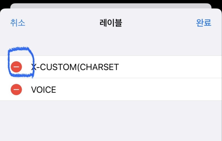 X custom charset iphone что это