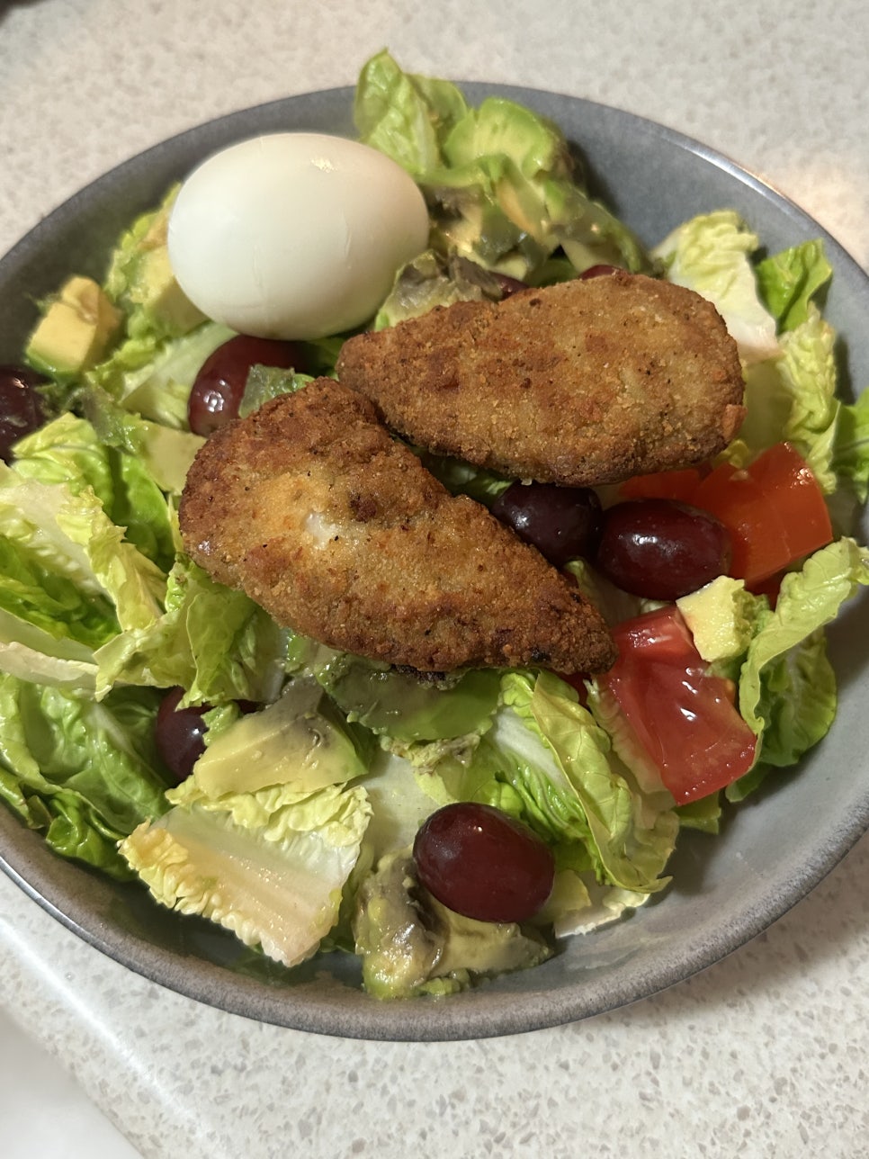 맛있는 치킨 키우기, 든든한 사료가 핵심! 효율적인 사료 공급을 알아보세요