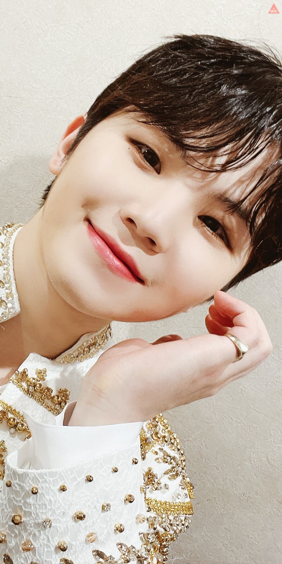 세븐틴 우지 월드투어 [BE THE SUN] 공연 사진 배경화면_by.슬짱